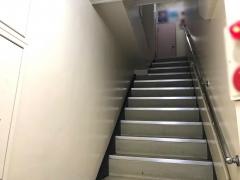 丸丹