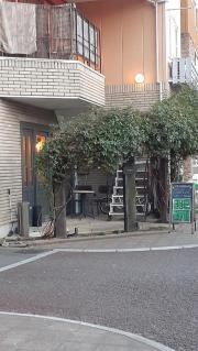 ＴＲＵＥ・ＣＯＬＯＲＳ