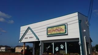 ＲＥＤＷＯＯＤ２１