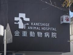 金重獣医科