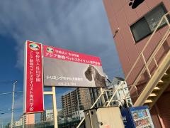 アジア動物ペットスタイリスト専門学校