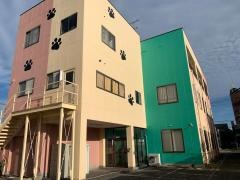 アジア動物ペットスタイリスト専門学校