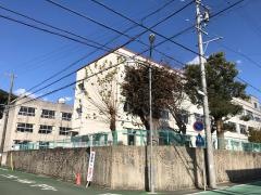 多米小学校