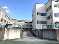 多米小学校