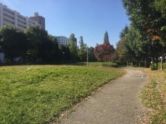 南郊公園