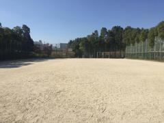 南郊公園