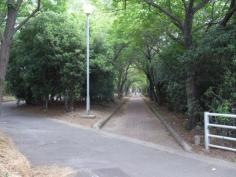 第2号碧緑地