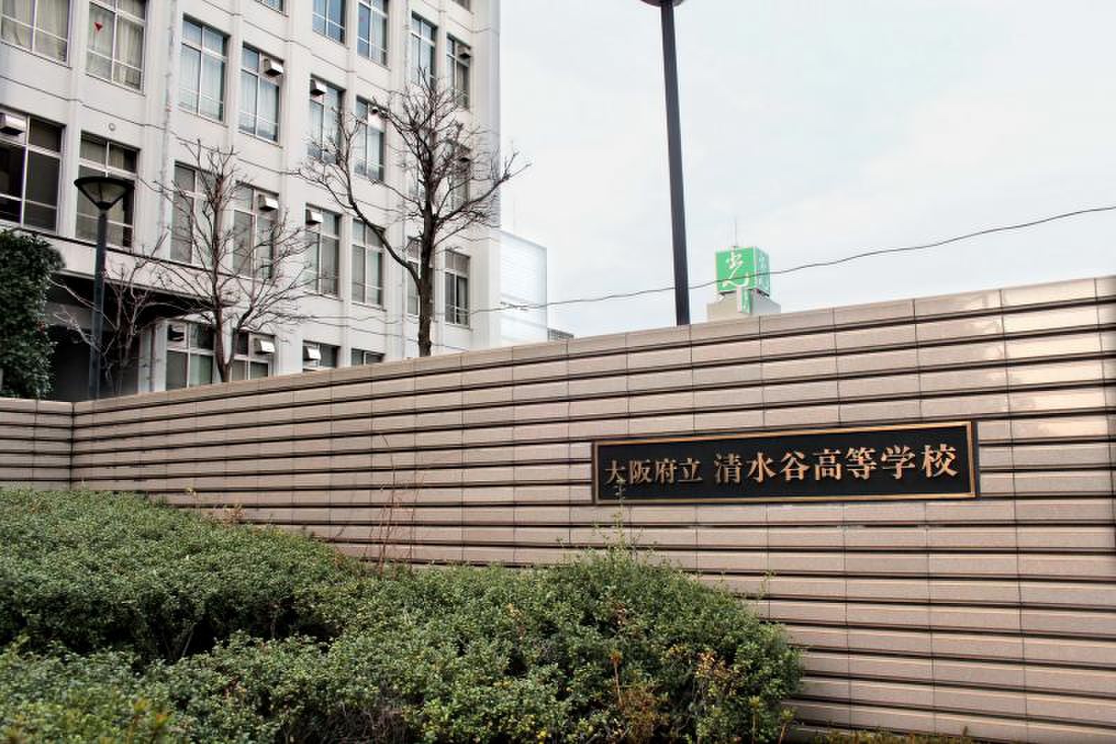 公の場での発言・インタビュー報道記録