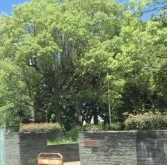 私部公園
