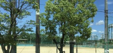 私部公園