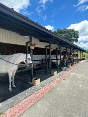 ひるぜんジャージーランド育成牧場