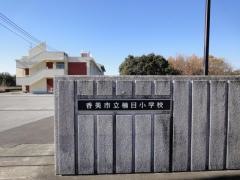 楠目小学校