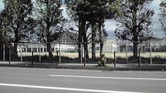 福岡県立伝習館高等学校