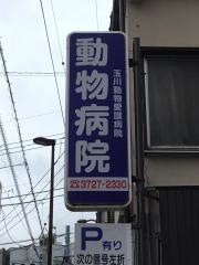 玉川動物愛護病院