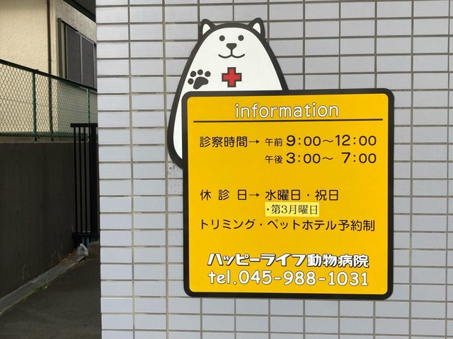 しっぽでハッピー おいでよ動物病院セット 説明欄必読⚠ 41x46q1jLoL._AC_SY200_QL15_.jpg
