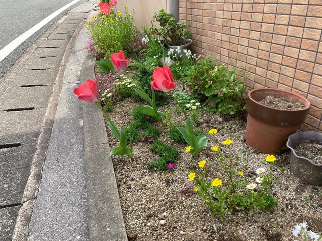 地域密着型介護老人福祉施設けんじえん 雰囲気