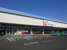 カワチ薬品　銚子店
