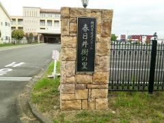 春日井樹の里