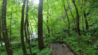 九段の滝