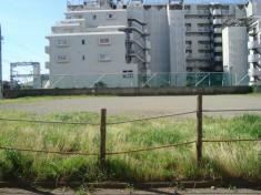 緑の広場27号