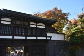 小諸城址 懐古園