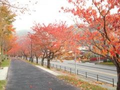 諏訪湖ふれあいの渚