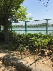 下の池公園