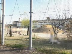 野市小学校