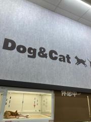 ペットハウスプーキーダイキＯＮＥ川島店