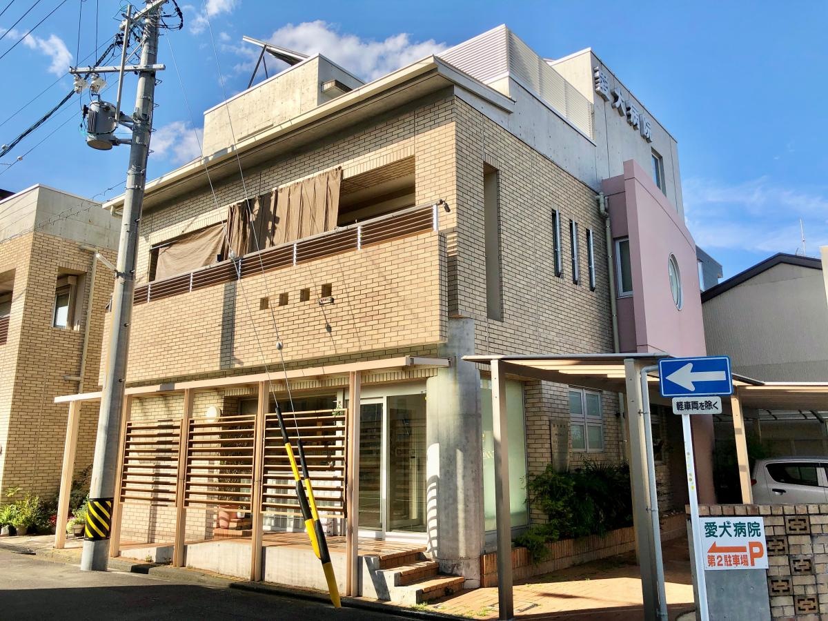 愛犬病院