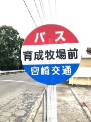 「育成牧場前」バス停留所