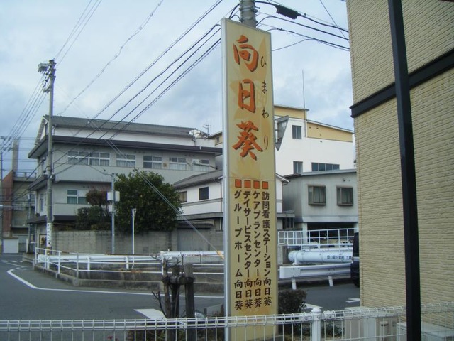 向日葵