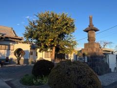圓教寺