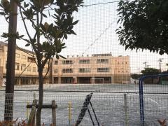 砧南小学校