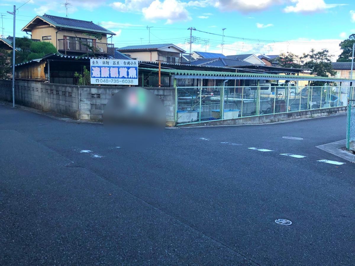遠藤観賞魚