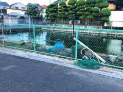 遠藤観賞魚