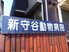 新守谷動物病院