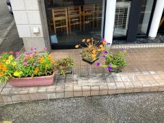 ぼてよし