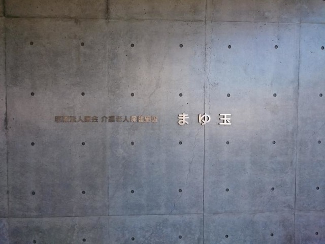 まゆ玉