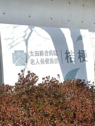桔梗