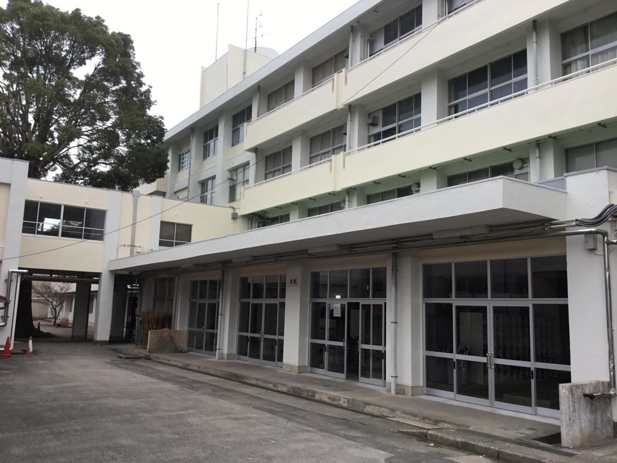 公の場での発言・インタビュー報道記録