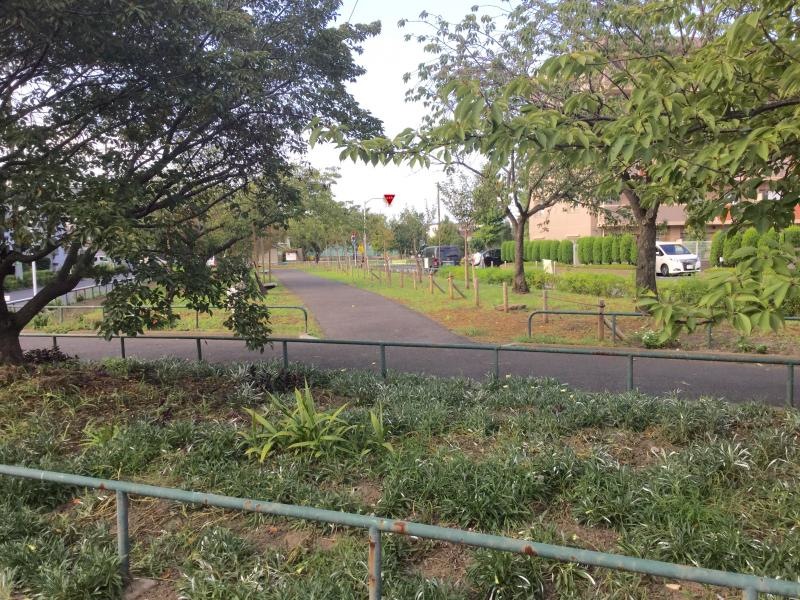 江北北部緑道公園です。