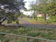 江北北部緑道公園