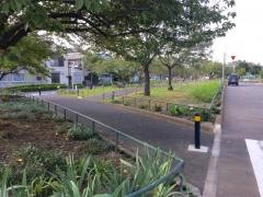 江北北部緑道公園