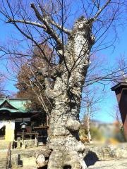 妻科神社