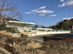 津西幼稚園
