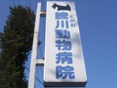 騰川動物病院