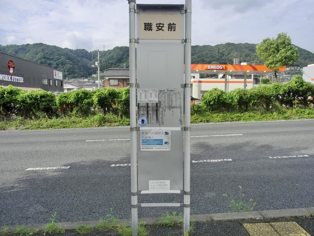 全体