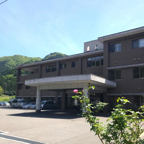 あやめ