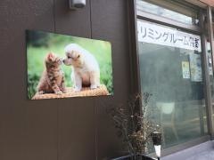 エリーどうぶつの病院